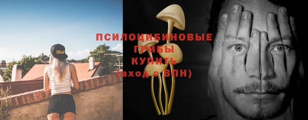 прущие крисы Алапаевск