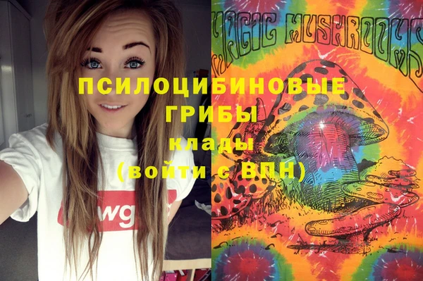 прущие крисы Алапаевск