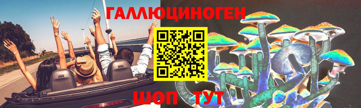 Псилоцибиновые грибы MAGIC MUSHROOMS  Вход с VPN  купить   Богородск 