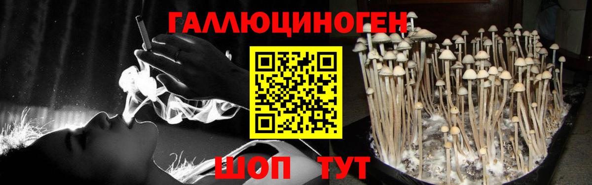 Псилоцибиновые грибы GOLDEN TEACHER Богородск